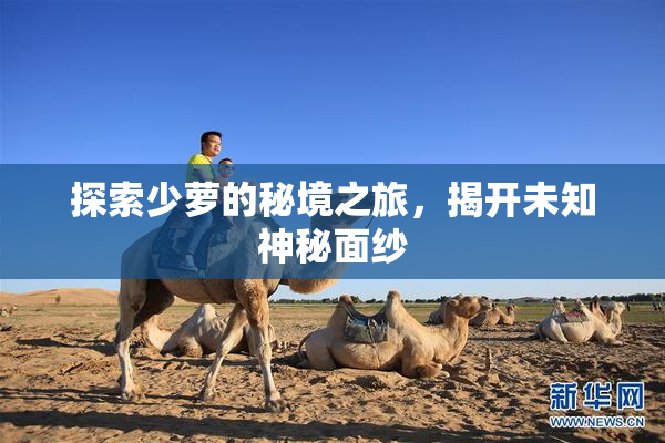 探索少萝的秘境之旅，揭开未知神秘面纱
