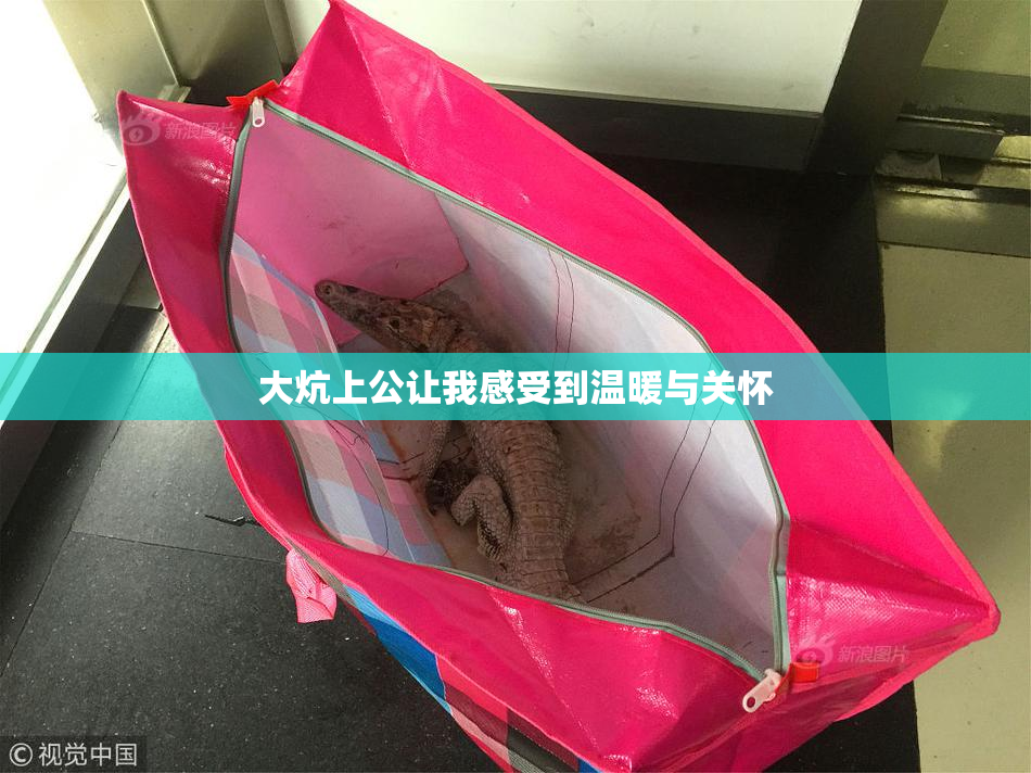 大炕上公让我感受到温暖与关怀