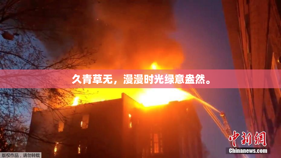久青草无，漫漫时光绿意盎然。