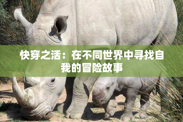 快穿之活：在不同世界中寻找自我的冒险故事