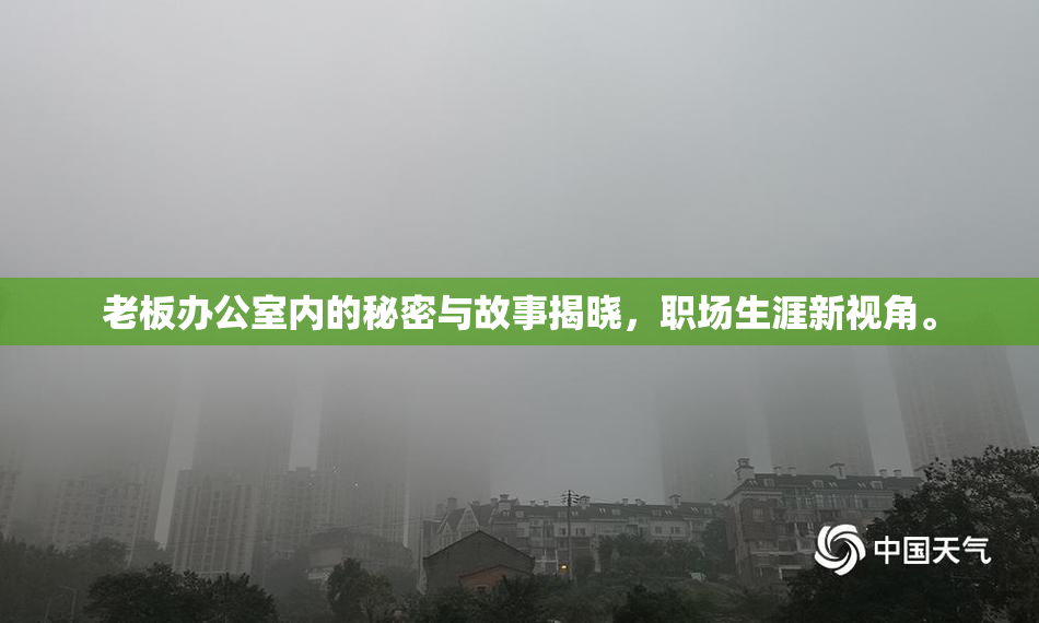 老板办公室内的秘密与故事揭晓，职场生涯新视角。
