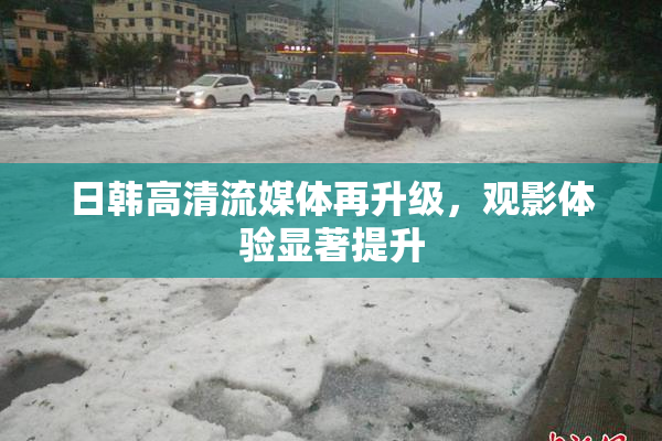 日韩高清流媒体再升级，观影体验显著提升