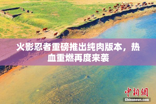 火影忍者重磅推出纯肉版本，热血重燃再度来袭
