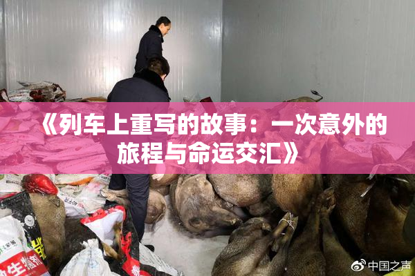 《列车上重写的故事：一次意外的旅程与命运交汇》
