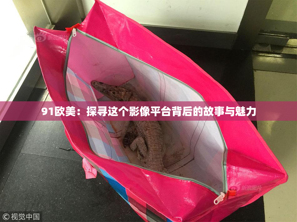 91欧美：探寻这个影像平台背后的故事与魅力