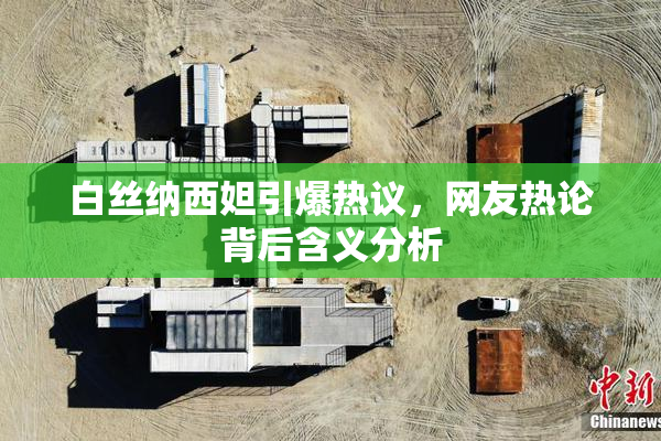 白丝纳西妲引爆热议，网友热论背后含义分析