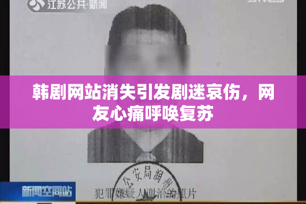 韩剧网站消失引发剧迷哀伤，网友心痛呼唤复苏