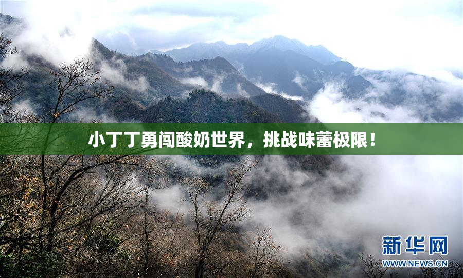 小丁丁勇闯酸奶世界，挑战味蕾极限！