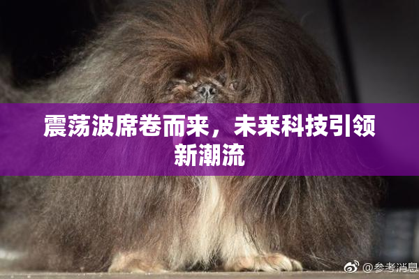 震荡波席卷而来，未来科技引领新潮流