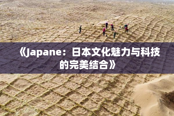 《Japane：日本文化魅力与科技的完美结合》