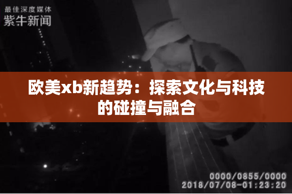 欧美xb新趋势：探索文化与科技的碰撞与融合