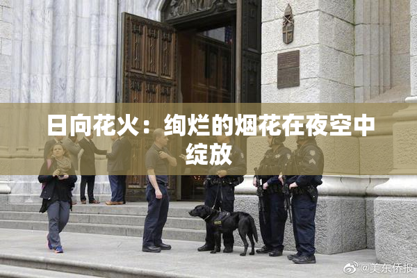 日向花火：绚烂的烟花在夜空中绽放