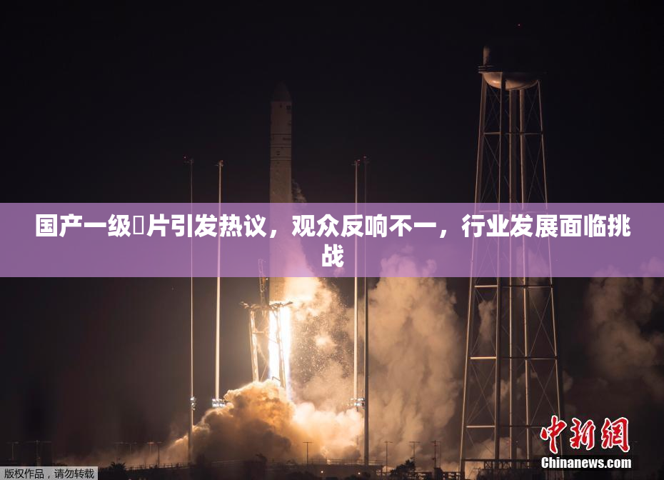 国产一级婬片引发热议，观众反响不一，行业发展面临挑战