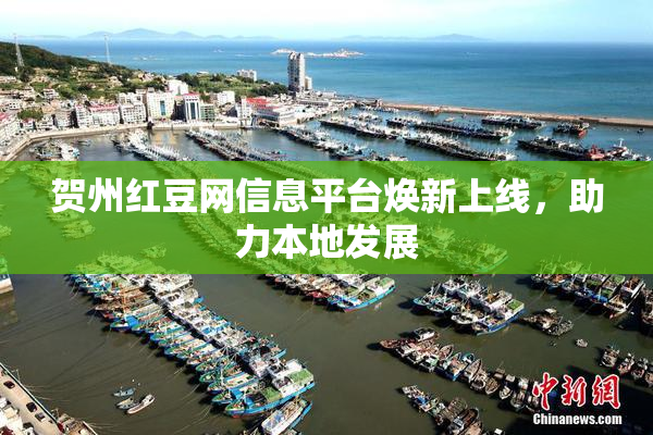 贺州红豆网信息平台焕新上线，助力本地发展