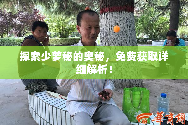 探索少萝秘的奥秘，免费获取详细解析！