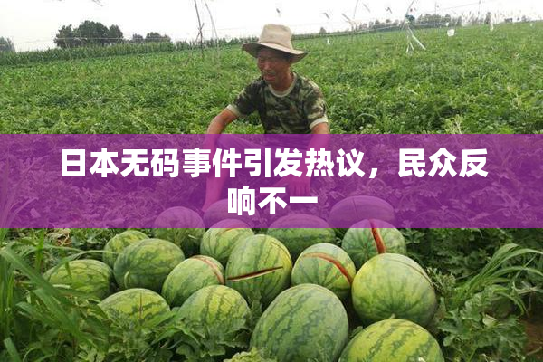 日本无码事件引发热议，民众反响不一