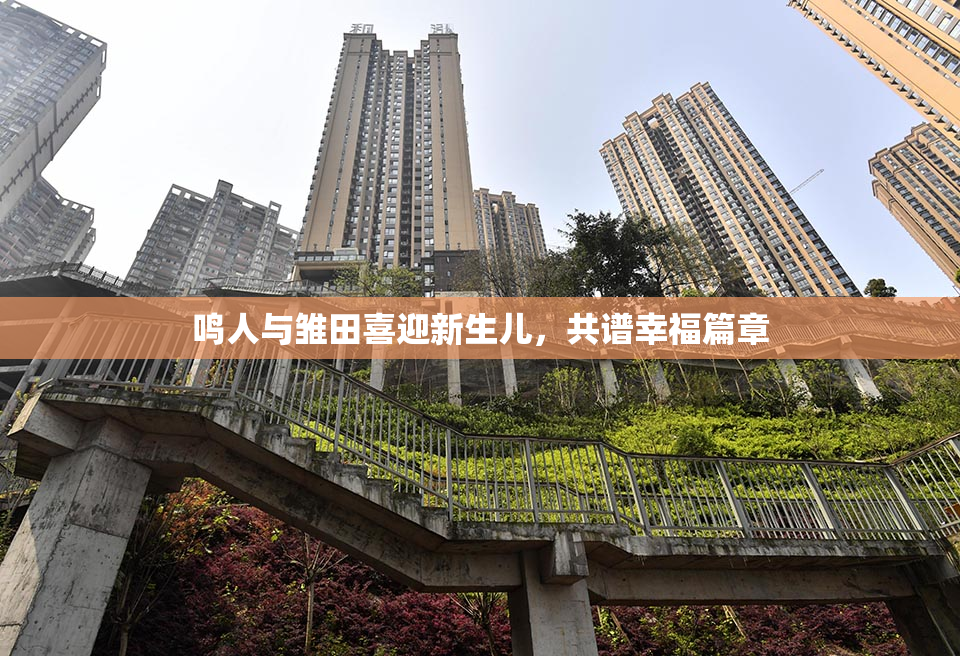 鸣人与雏田喜迎新生儿，共谱幸福篇章