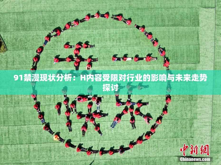 91禁漫现状分析：H内容受限对行业的影响与未来走势探讨