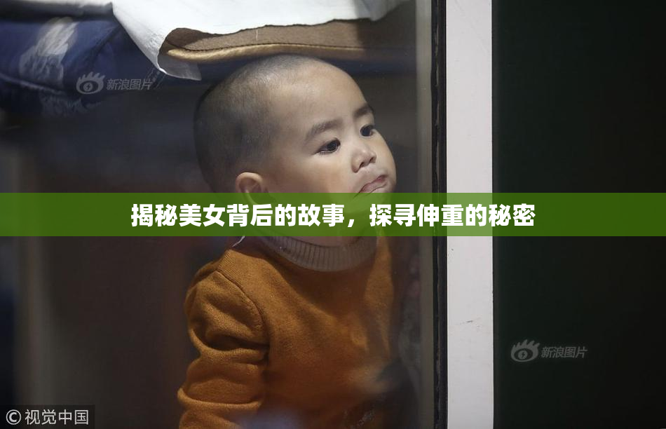 揭秘美女背后的故事，探寻伸重的秘密