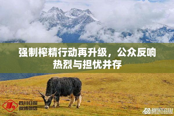 强制榨精行动再升级，公众反响热烈与担忧并存