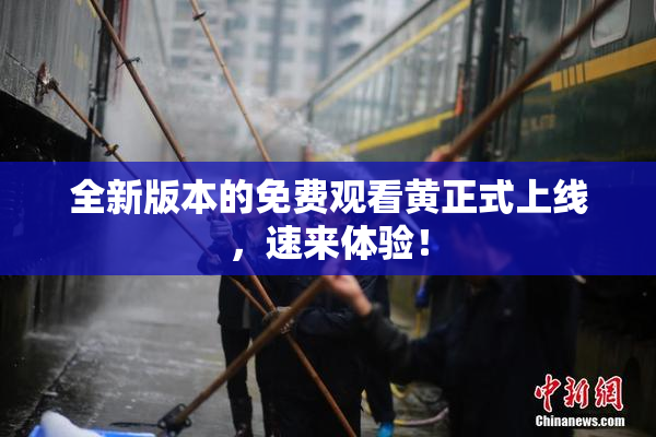 全新版本的免费观看黄正式上线，速来体验！