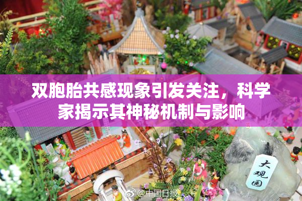 双胞胎共感现象引发关注，科学家揭示其神秘机制与影响