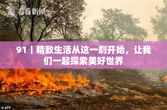 91丨精致生活从这一刻开始，让我们一起探索美好世界