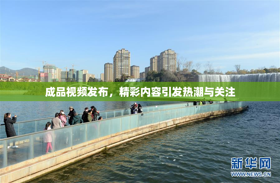 成品视频发布，精彩内容引发热潮与关注