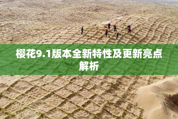 樱花9.1版本全新特性及更新亮点解析
