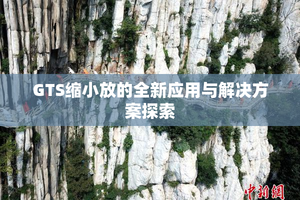 GTS缩小放的全新应用与解决方案探索