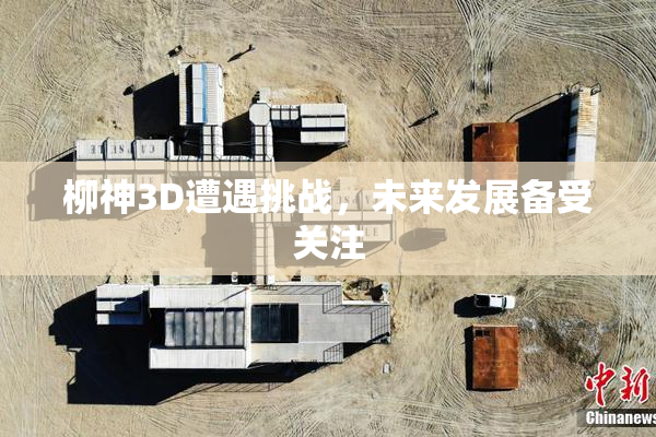 柳神3D遭遇挑战，未来发展备受关注
