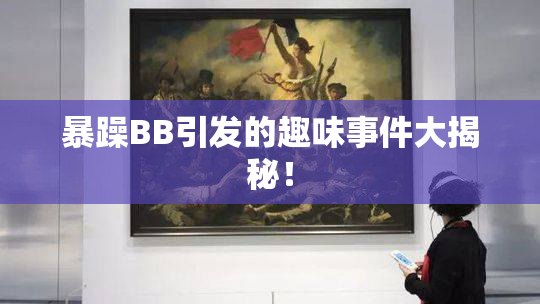 暴躁BB引发的趣味事件大揭秘！