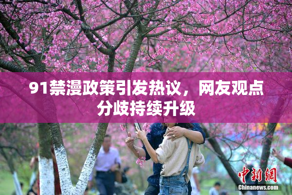 91禁漫政策引发热议，网友观点分歧持续升级