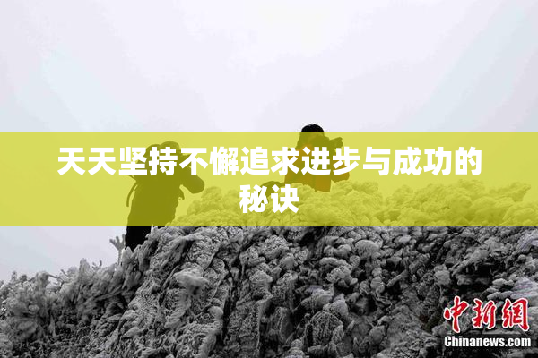 天天坚持不懈追求进步与成功的秘诀
