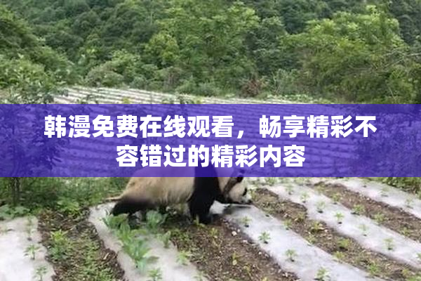 韩漫免费在线观看，畅享精彩不容错过的精彩内容