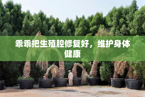 乖乖把生殖腔修复好，维护身体健康