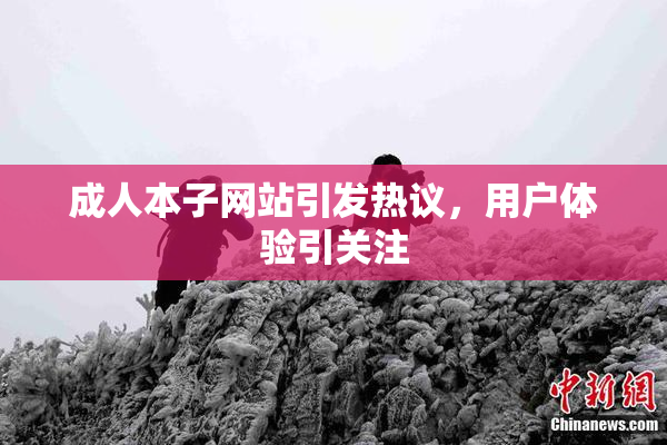 成人本子网站引发热议，用户体验引关注