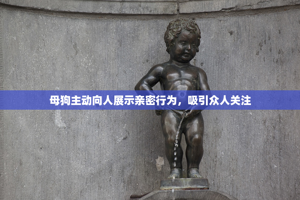 母狗主动向人展示亲密行为，吸引众人关注