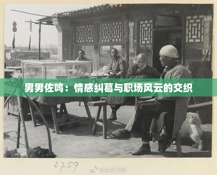 男男佐鸣：情感纠葛与职场风云的交织