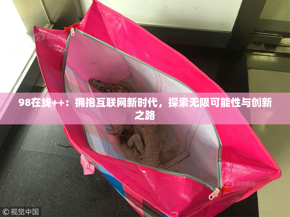 98在线++：拥抱互联网新时代，探索无限可能性与创新之路