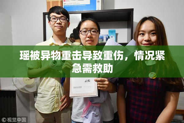 瑶被异物重击导致重伤，情况紧急需救助