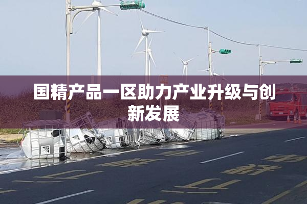 国精产品一区助力产业升级与创新发展