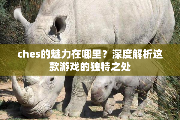 ches的魅力在哪里？深度解析这款游戏的独特之处