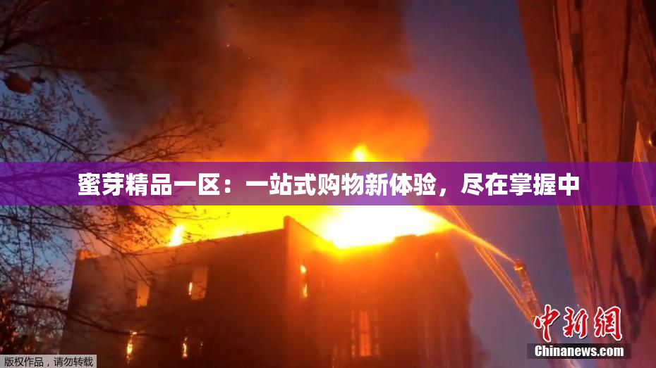 蜜芽精品一区：一站式购物新体验，尽在掌握中