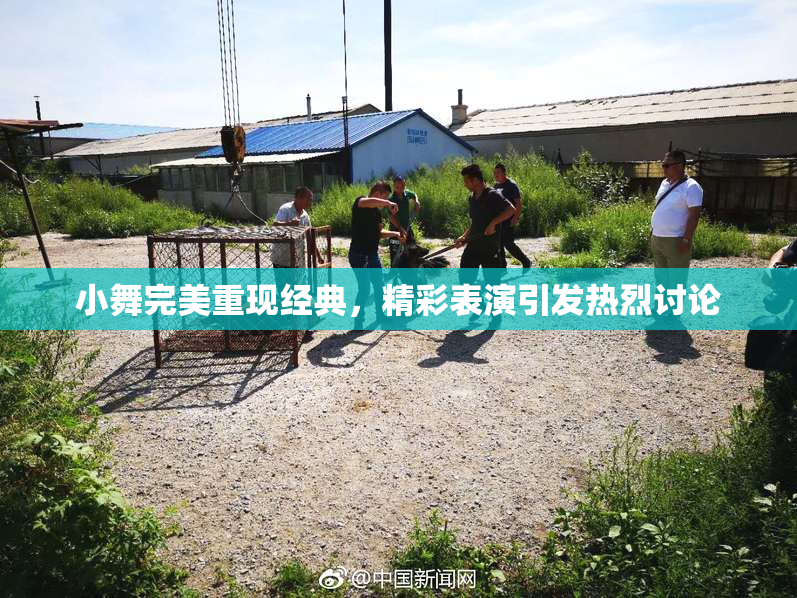 小舞完美重现经典，精彩表演引发热烈讨论