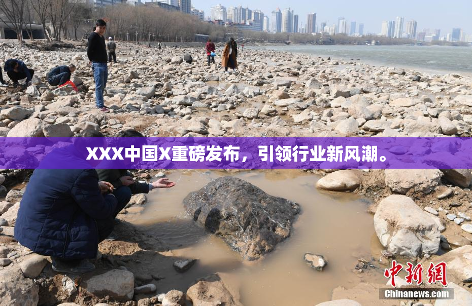 XXX中国X重磅发布，引领行业新风潮。