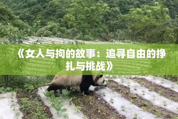《女人与拘的故事：追寻自由的挣扎与挑战》