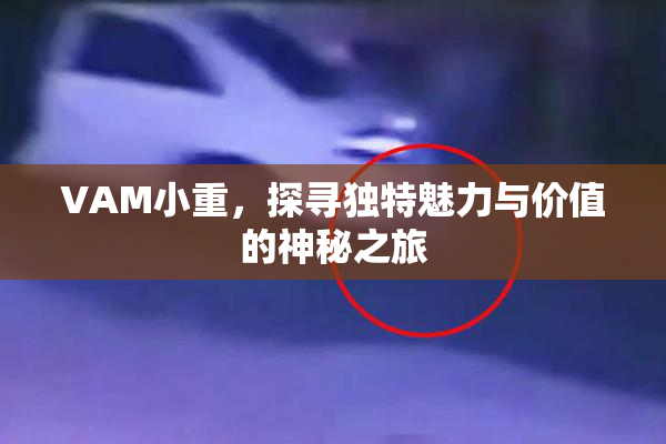 VAM小重，探寻独特魅力与价值的神秘之旅