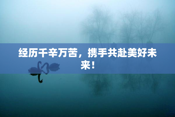 经历千辛万苦，携手共赴美好未来！