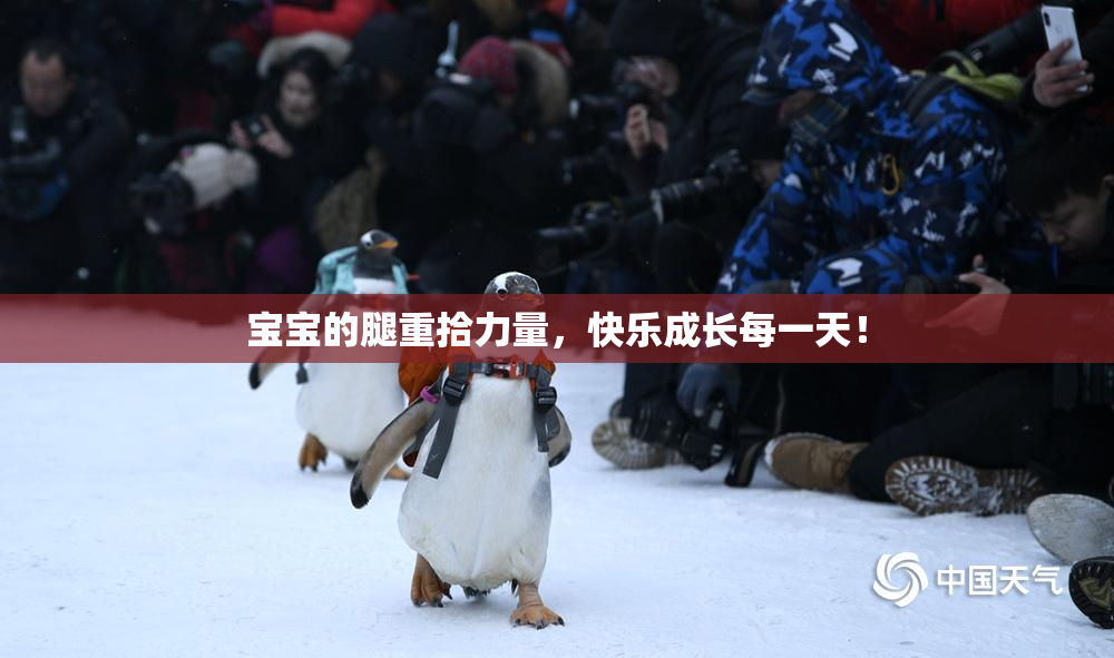 宝宝的腿重拾力量，快乐成长每一天！